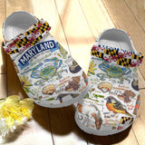 Clog Maryland Personalize Clog, Custom Name, Text, Fashion Style For Women, Men, Kid, Print 3D Maryland V1 - Love Mine Gifts