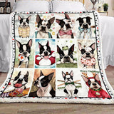 Fleece Blanket Boston Terrier Fleece Blanket Print 3D, Unisex, Kid, Adult - Love Mine Gifts