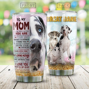 Tumbler Great Dane Hn2712021P Stainless Steel Tumbler Travel Customize Name, Text, Number, Image - Love Mine Gifts