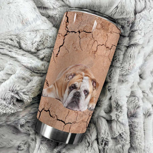 Tumbler Personalized American Bulldog Gs-Cl-Dt1603 Stainless Steel Tumbler Customize Name, Text, Number - Love Mine Gifts