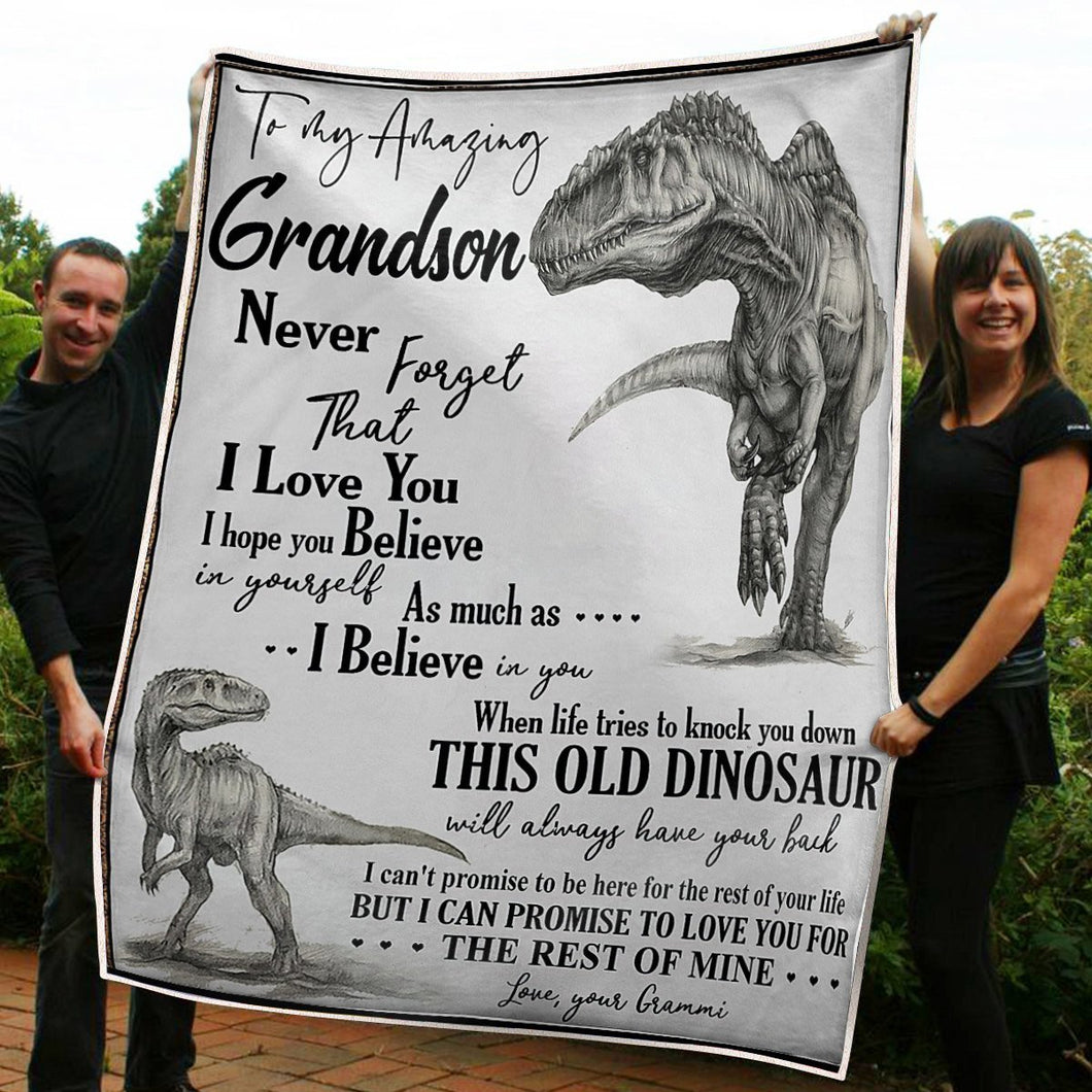 To My Grandson Dinosaur Always Have Your Back Gift From Grandma Grammi Fleece Blanket