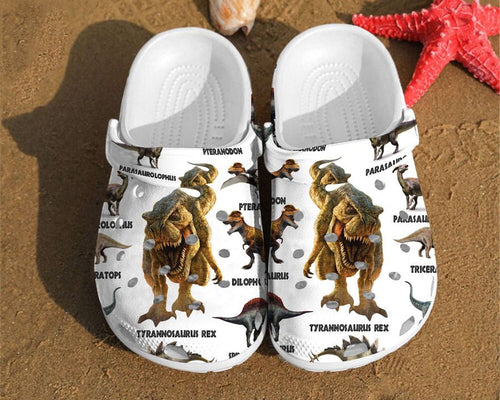 Dinosaur Types Pattern Gift For Lovers Shoes Personalized Clogs