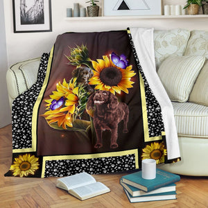 Boykin spaniel dark sunflower blanket