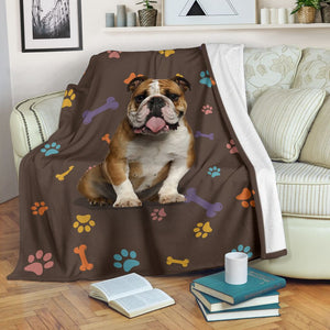 Bulldog brown blanket and color decor