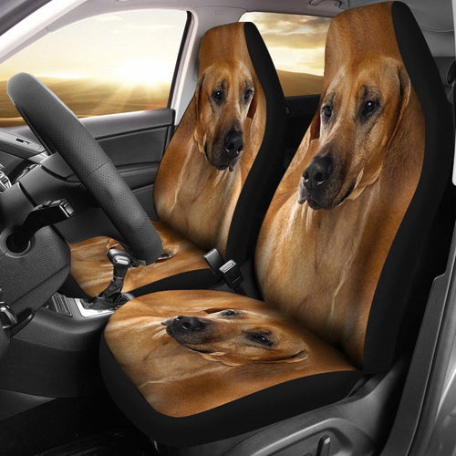 Rhodesian Ridgeback Dog Print Car Seat Covers Set 2 Pc, Car Accessories Seat Cover