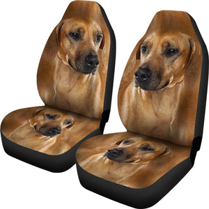 Rhodesian Ridgeback Dog Print Car Seat Covers Set 2 Pc, Car Accessories Seat Cover