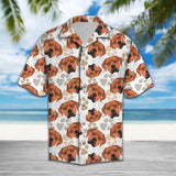 Hawaiian Shirt Cute Rhodesian Ridgeback Hawaiian Shirt Summer Button Up for Men, Women, Couple - Love Mine Gifts