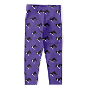 Purple Boston Terrier Pattern Print Women's Capri Leggings