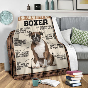 The anatomy of a boxer blanket