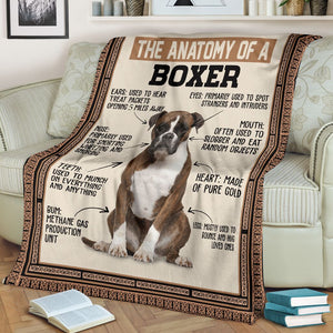 The anatomy of a boxer blanket