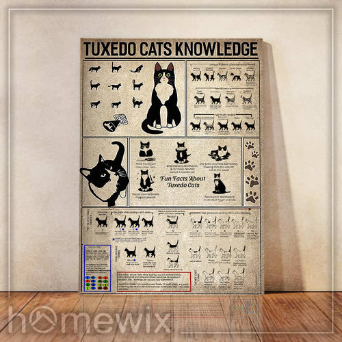Tuxedo Cats Knowledge Personalized Canvas, Poster Custom Design Wall Art