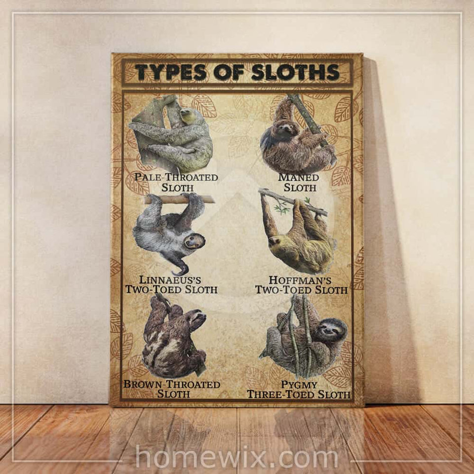 Poster - Canvas Types Of Sloths Personalized Canvas, Poster Custom Design Wall Art - Love Mine Gifts