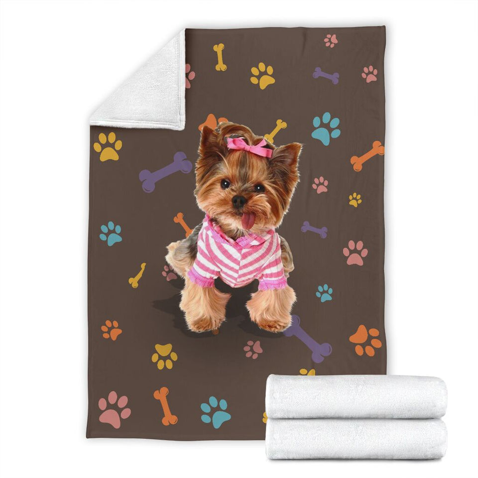 Yorkshire terrier brown blanket and color decor